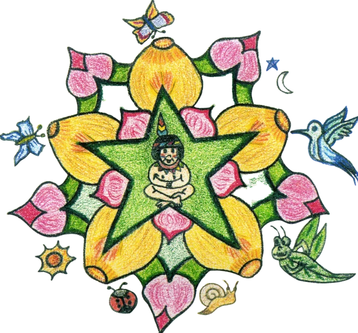 Mandala da Escola Curumim com estrela, flores, borboletas e um curumim ao centro